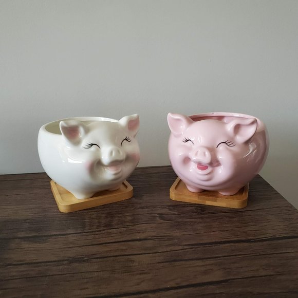 Pig Planter, White Pig Plant Pot, Ceramic Animal Planter, Succulent Planter, 6" - Picture 8 of 8